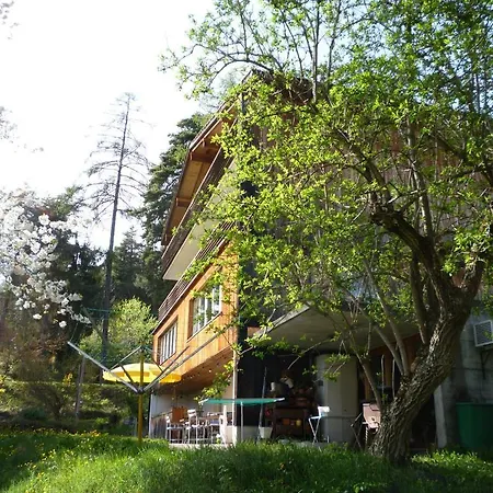 Gasthof Casa Selva Trin