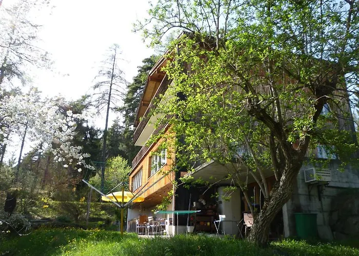 Otel Casa Selva Trin