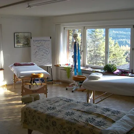 Casa Selva Trin